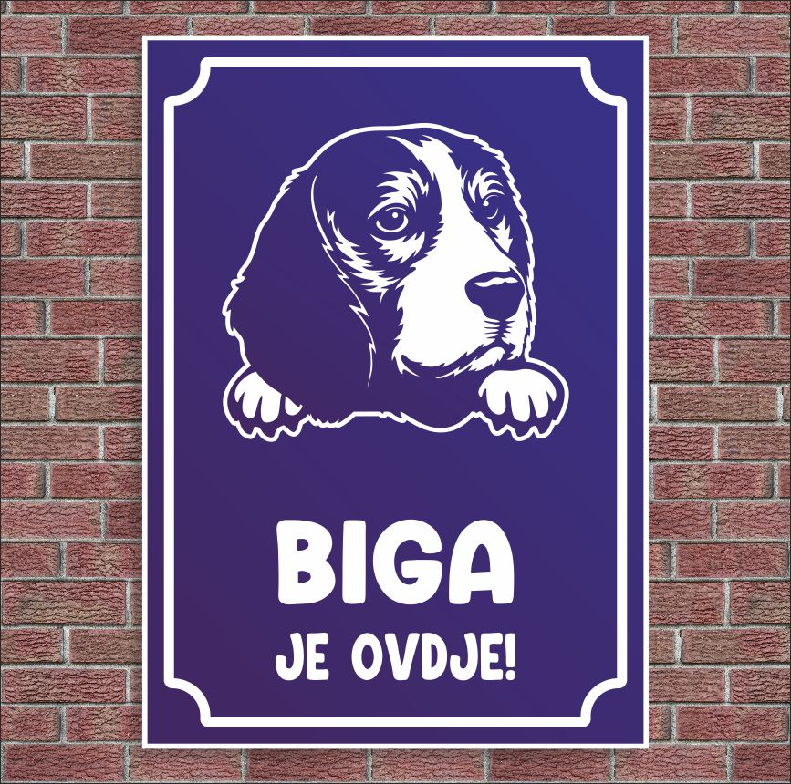 Plocica Ocj P13