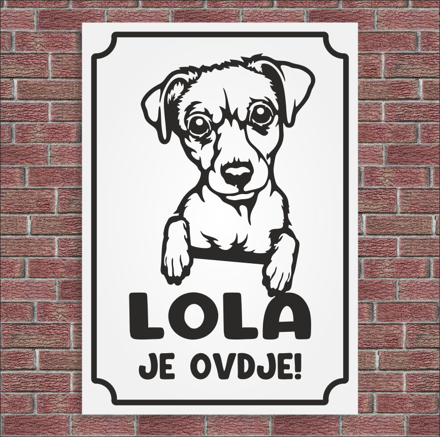 Plocica Ocj L10