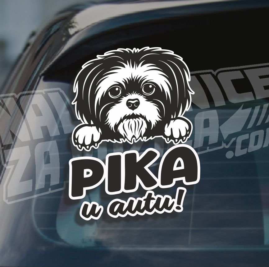 Naljepnica Ljubimac U Autu H9