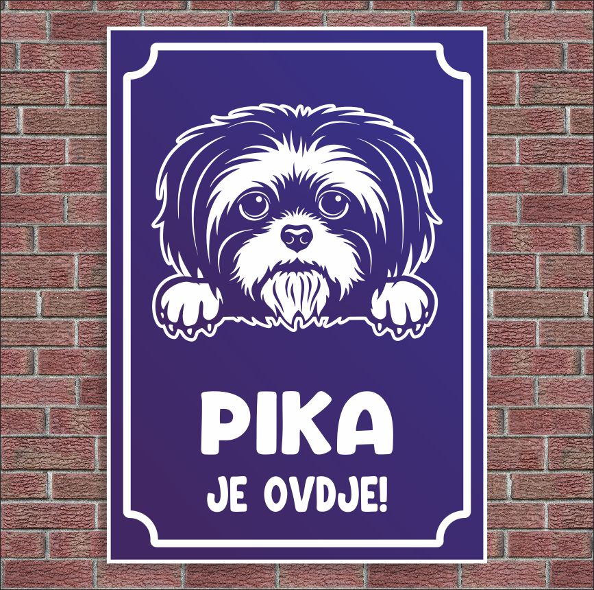 Plocica Ocj P9