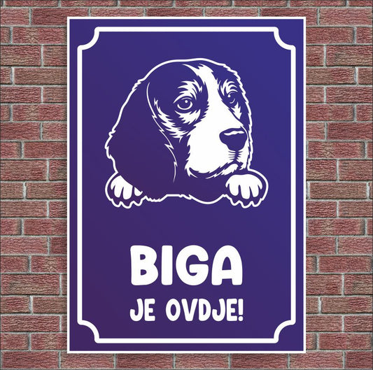 Plocica Ocj P13