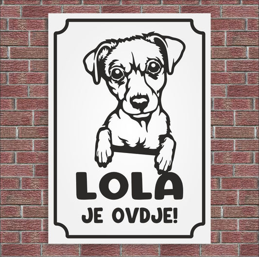 Plocica Ocj L10