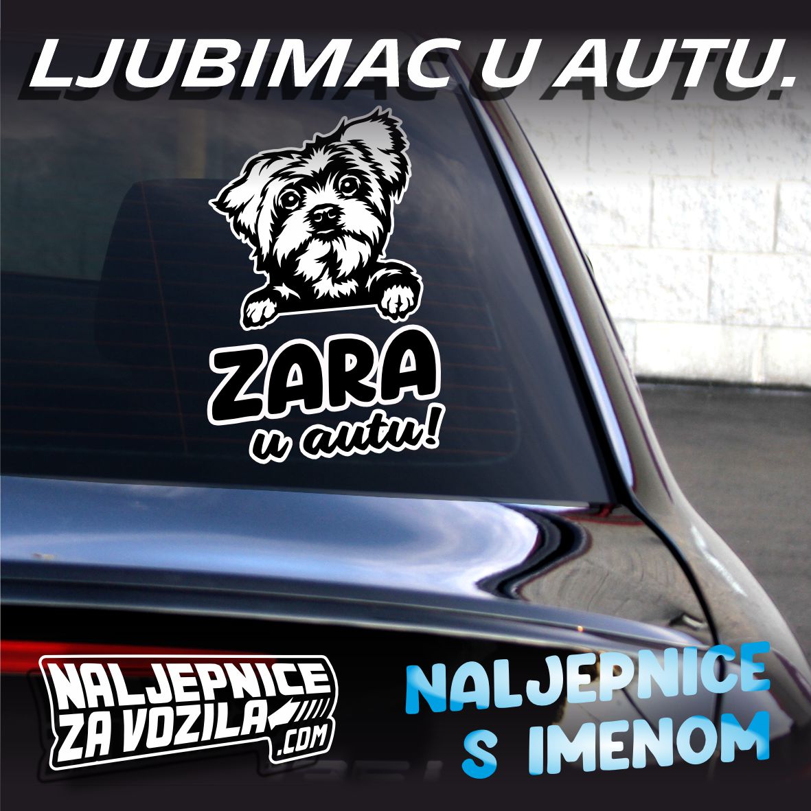 Naljepnica Pets3