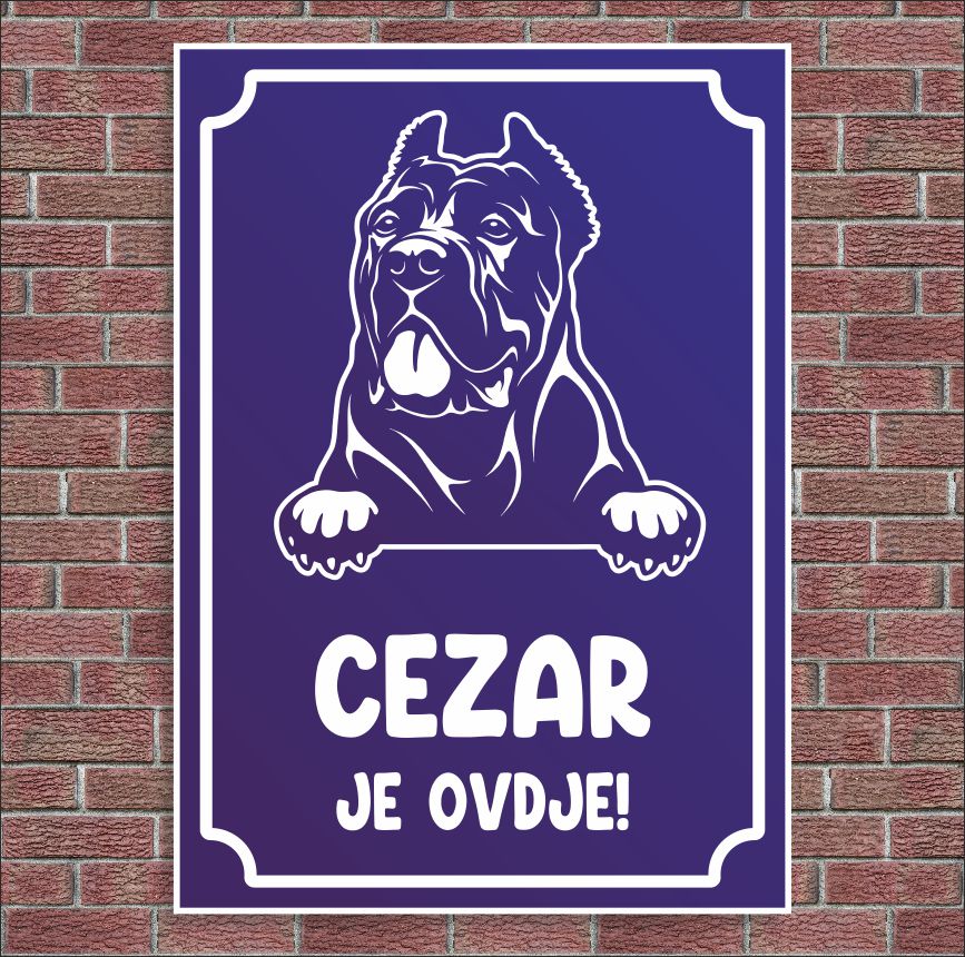 Plocica Ocj P22