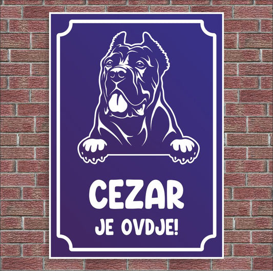 Plocica Ocj P22