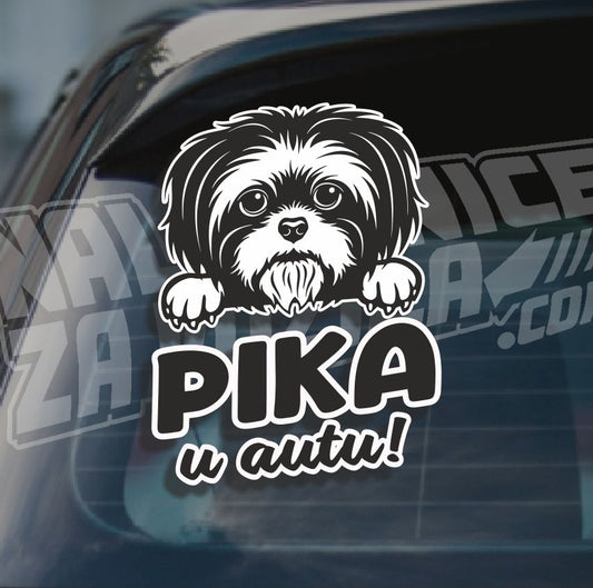 Naljepnica Ljubimac U Autu H9