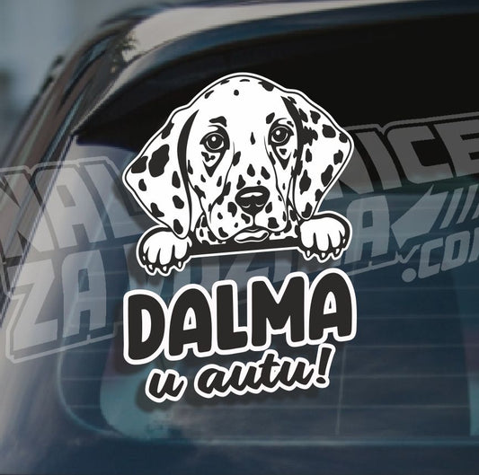 Naljepnica Ljubimac U Autu H41