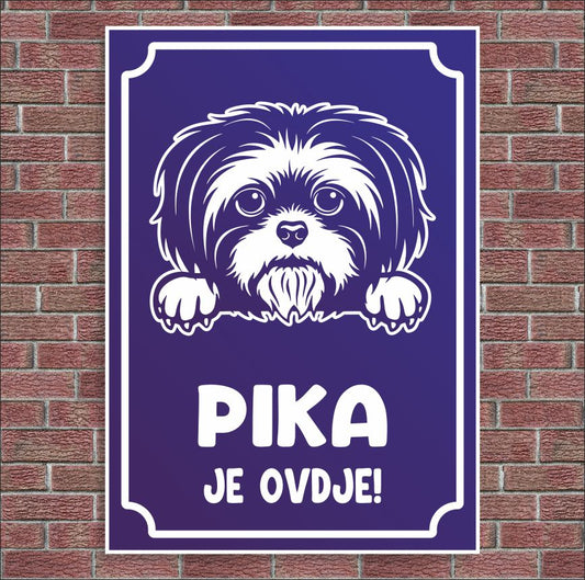 Plocica Ocj P9