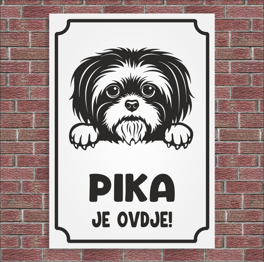 Plocica Ocj L9