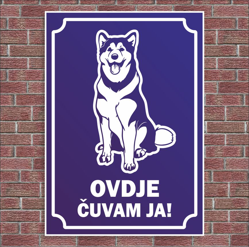 Plocica Ocj P99